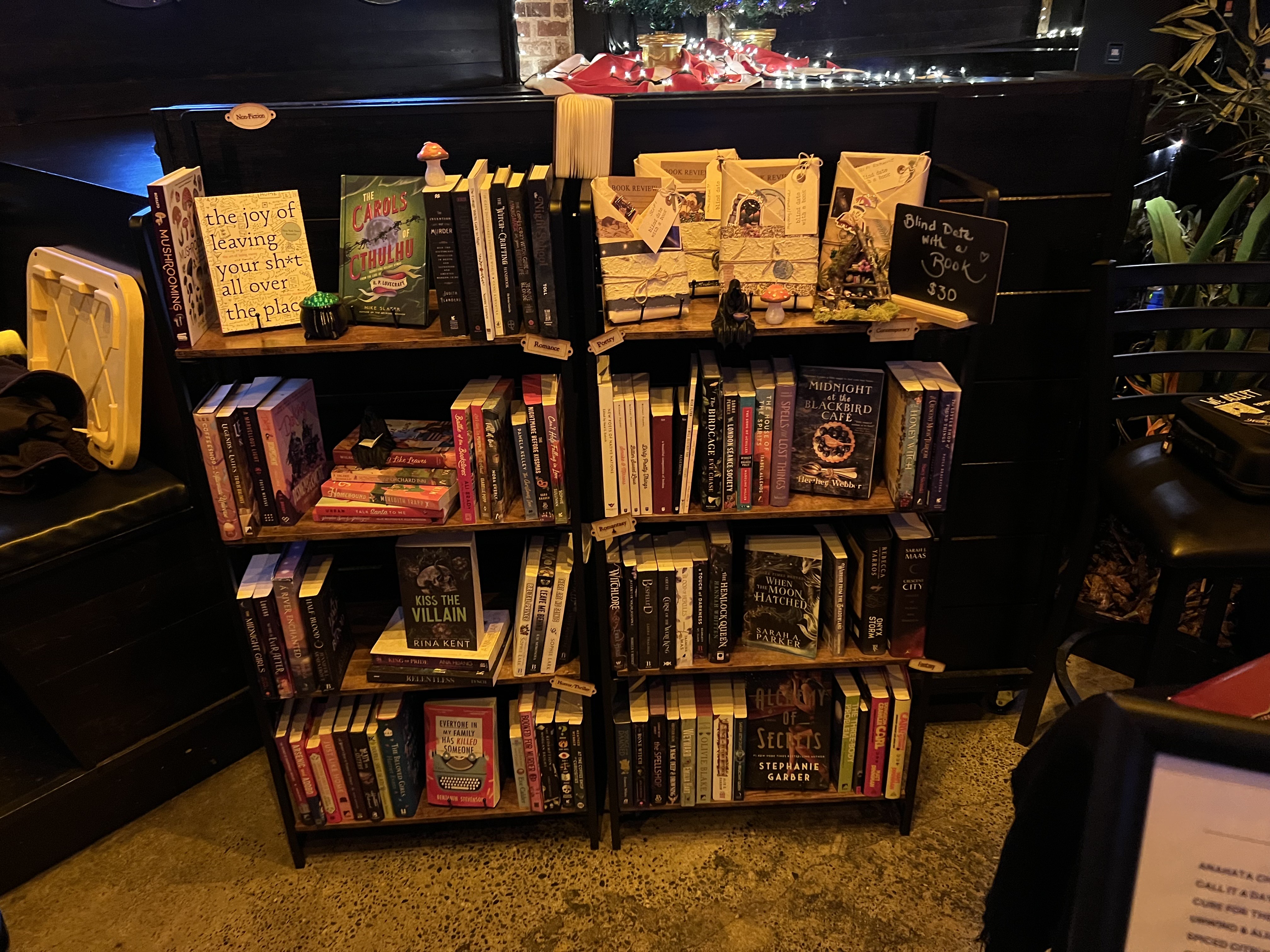 Indoor bookshelf setup with fairy lights and curated titles
